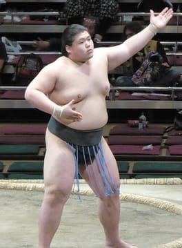 王鵬幸之介（力士）の写真