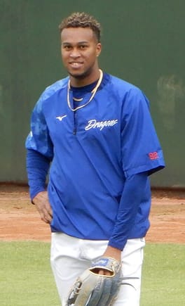 Photo of Raidel Martinez