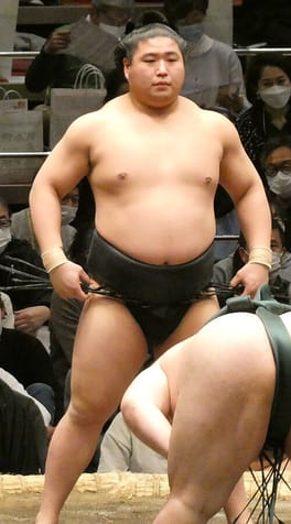 若元春港（力士）の写真