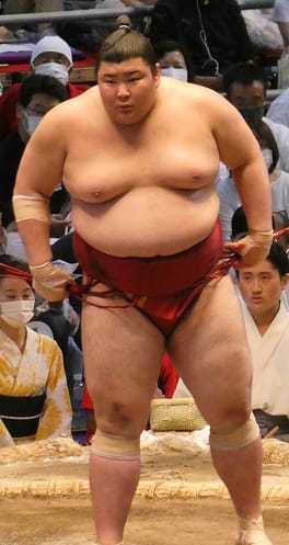 熱海富士朔太郎（力士）の写真