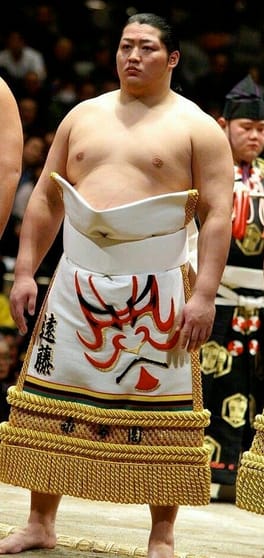 遠藤聖大（力士）の写真