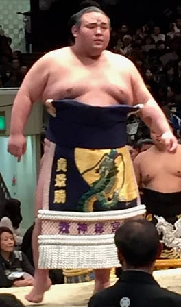 貴景勝貴信（力士）の写真