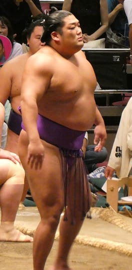 尊富士弥輝也（力士）の写真