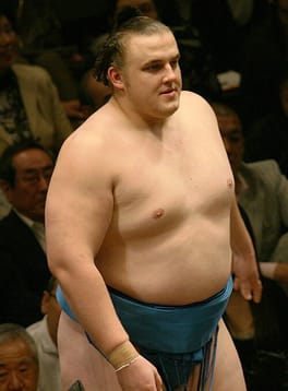 把瑠都凱斗（力士・政治家）の写真