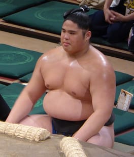 スダリオ剛（力士・総合格闘家）の写真