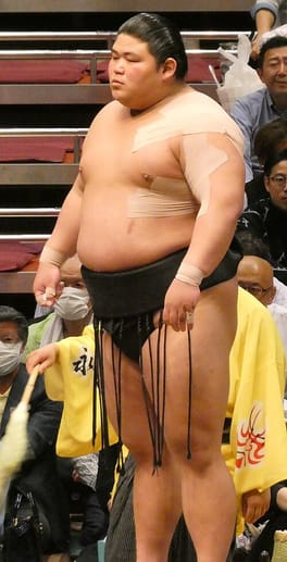 伯乃富士哲也（力士）の写真