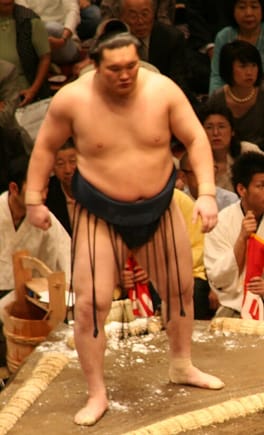 白鵬翔（力士）の写真
