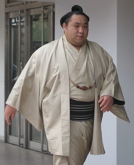 千代大海龍二（力士）の写真