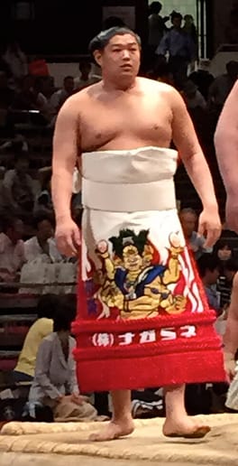 阿炎政虎（力士）の写真
