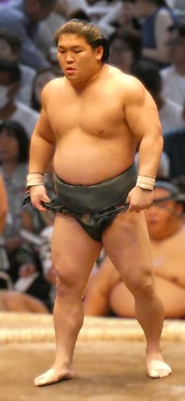 朝紅龍琢馬（力士）の写真