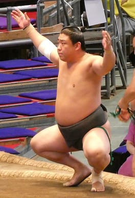 若隆元渡（力士）の写真