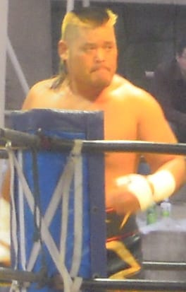 天山広吉(プロレスラー)の写真