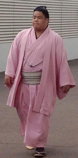 大栄翔勇人（力士）の写真