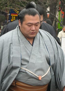 豊ノ島大樹（力士）の写真
