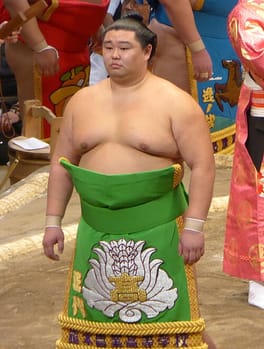 正代直也（力士）の写真