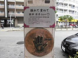 国仲涼子（俳優・歌手）の写真