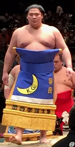 宇良和輝（力士）の写真