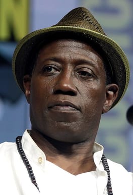 Photo of Wesley Snipes