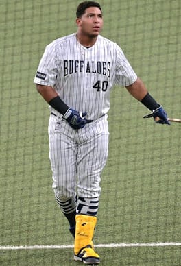 レアンドロ・セデーニョ（野球選手）の写真