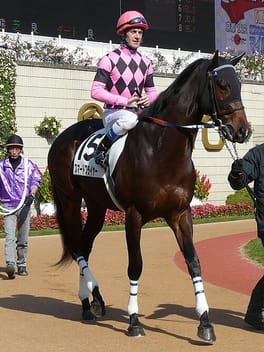 Photo of Olivier Peslier