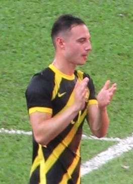 Photo of Dion Cools