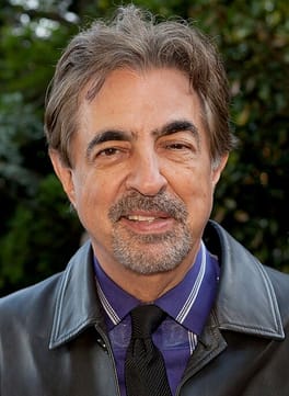 Photo of Joe Mantegna