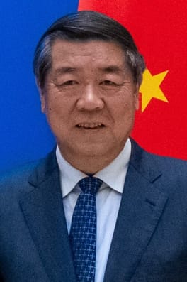 Photo of He Lifeng