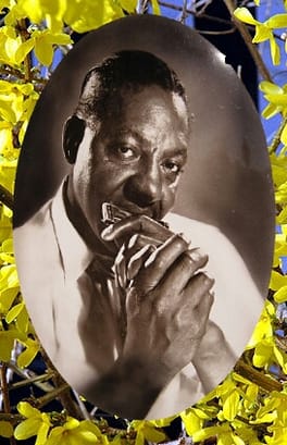 Photo of Sonny Boy Williamson II