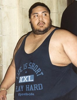 Photo of Yokozuna