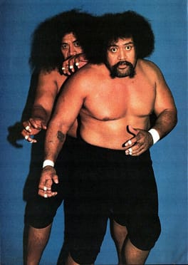 Photo of Afa Anoa'i