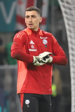 ジョルジェ・ペトロヴィッチ（サッカー選手）の写真