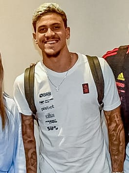 Photo of Pedro Guilherme Abreu dos Santos