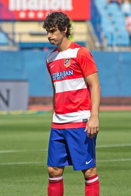 Photo of Tiago Mendes