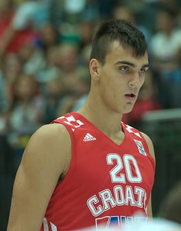Photo of Dario Šarić