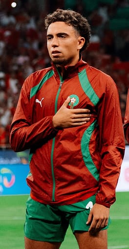 Photo of Neil El Aynaoui