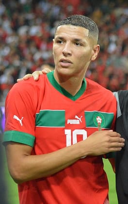 アミーヌ・アリ（サッカー選手）の写真