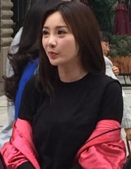 Photo of Liu Yan