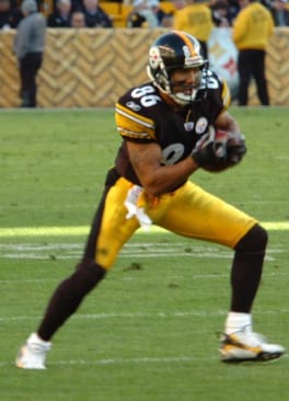 Photo of Hines Ward